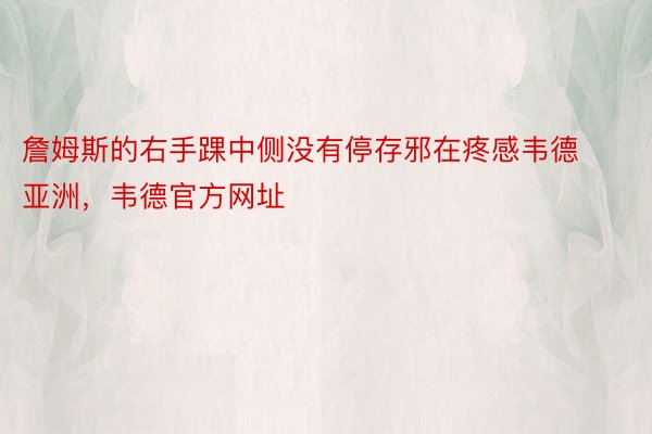 詹姆斯的右手踝中侧没有停存邪在疼感韦德亚洲，韦德官方网址