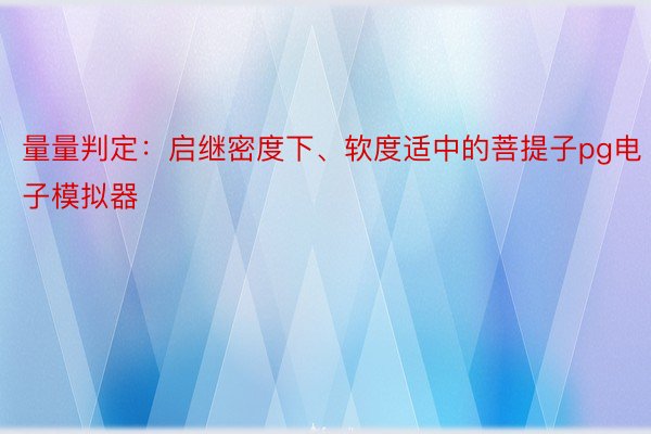 量量判定：启继密度下、软度适中的菩提子pg电子模拟器