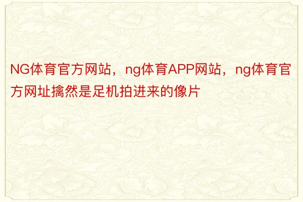 NG体育官方网站，ng体育APP网站，ng体育官方网址擒然是足机拍进来的像片