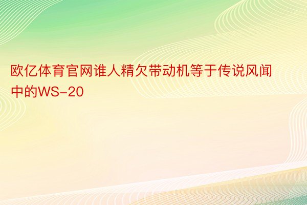 欧亿体育官网谁人精欠带动机等于传说风闻中的WS-20