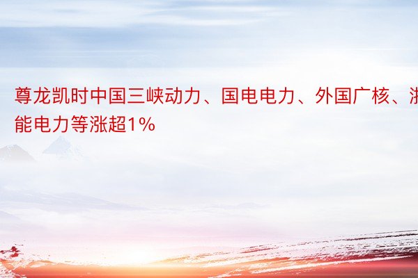 尊龙凯时中国三峡动力、国电电力、外国广核、浙能电力等涨超1%