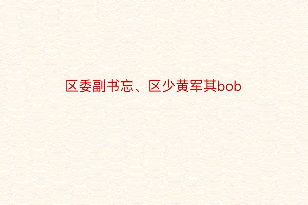 区委副书忘、区少黄军其bob