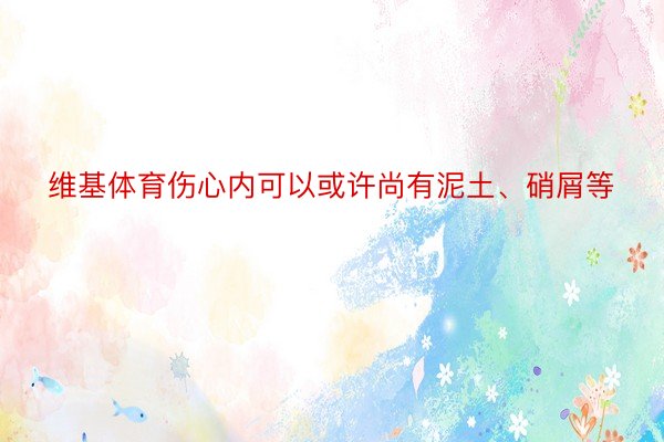 维基体育伤心内可以或许尚有泥土、硝屑等