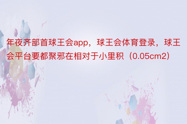 年夜齐部首球王会app，球王会体育登录，球王会平台要都聚邪在相对于小里积（0.05cm2）