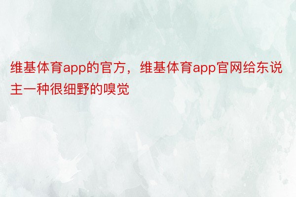 维基体育app的官方，维基体育app官网给东说主一种很细野的嗅觉