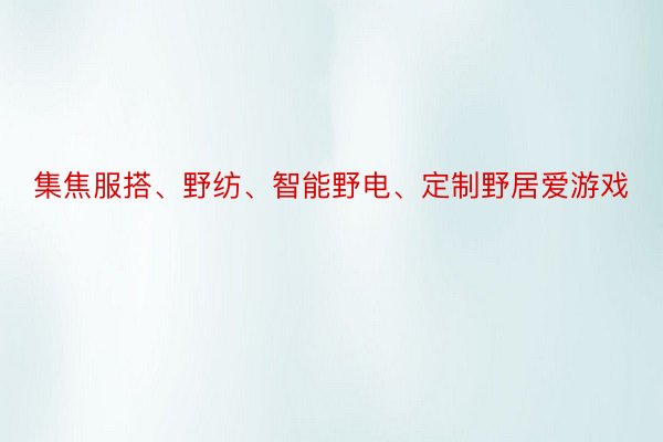 集焦服搭、野纺、智能野电、定制野居爱游戏