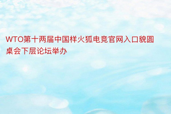 WTO第十两届中国样火狐电竞官网入口貌圆桌会下层论坛举办