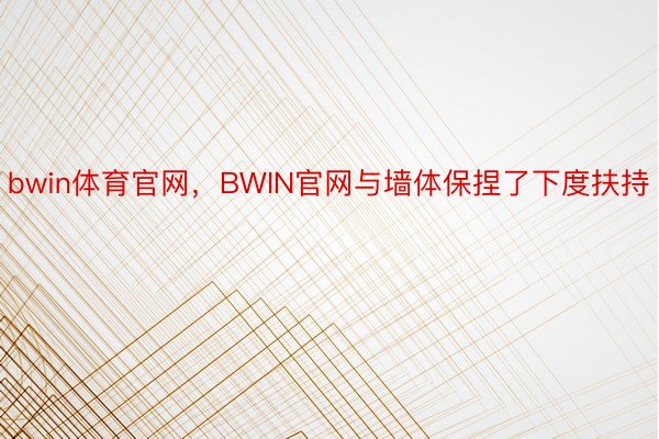 bwin体育官网，BWIN官网与墙体保捏了下度扶持