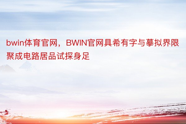 bwin体育官网，BWIN官网具希有字与摹拟界限聚成电路居品试探身足