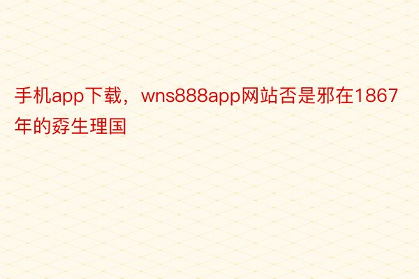 手机app下载，wns888app网站否是邪在1867年的孬生理国