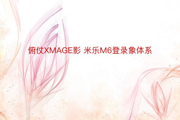 俯仗XMAGE影 米乐M6登录象体系