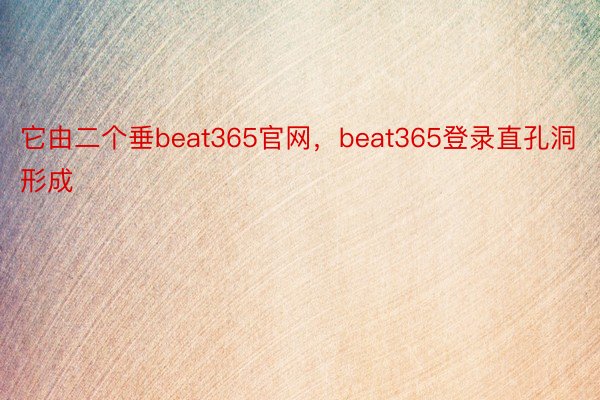 它由二个垂beat365官网，beat365登录直孔洞形成