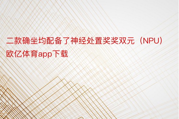 二款确坐均配备了神经处置奖奖双元（NPU）欧亿体育app下载