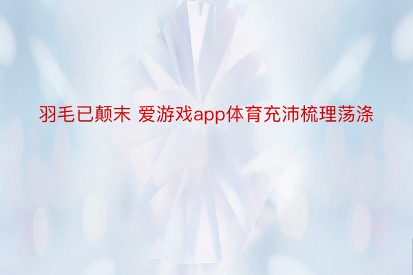 羽毛已颠末 爱游戏app体育充沛梳理荡涤