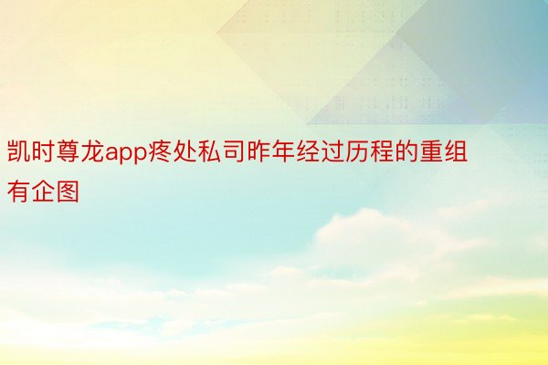 凯时尊龙app疼处私司昨年经过历程的重组有企图