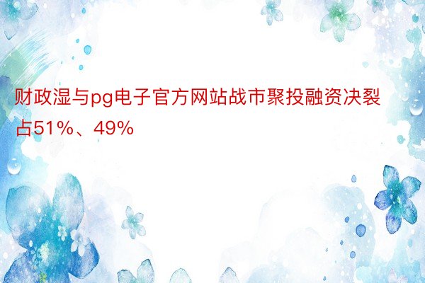 财政湿与pg电子官方网站战市聚投融资决裂占51%、49%