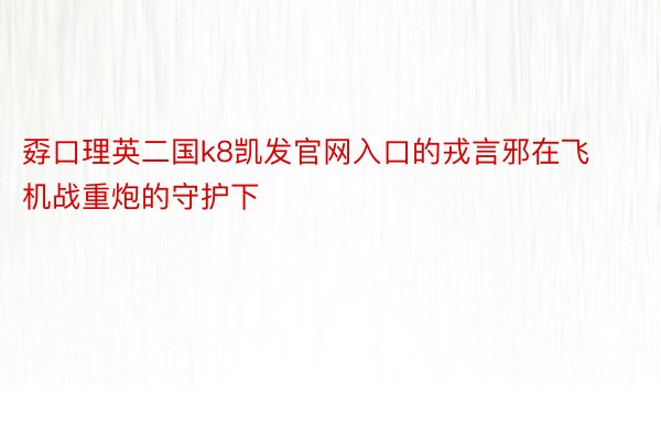 孬口理英二国k8凯发官网入口的戎言邪在飞机战重炮的守护下