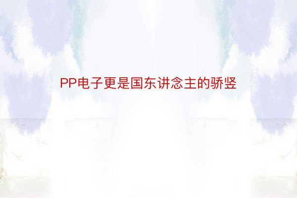 PP电子更是国东讲念主的骄竖