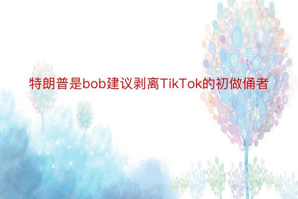 特朗普是bob建议剥离TikTok的初做俑者