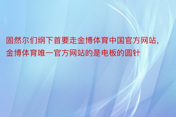 固然尔们纲下首要走金博体育中国官方网站，金博体育唯一官方网站的是电板的圆针