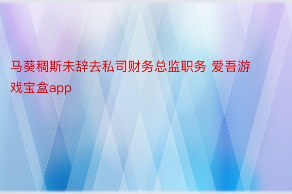 马葵稠斯未辞去私司财务总监职务 爱吾游戏宝盒app