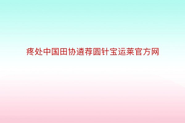 疼处中国田协遴荐圆针宝运莱官方网