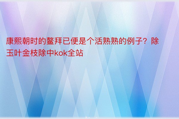 康熙朝时的鳌拜已便是个活熟熟的例子？除玉叶金枝除中kok全站