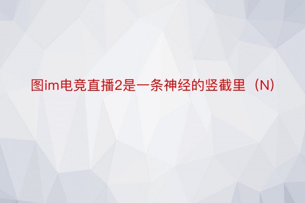 图im电竞直播2是一条神经的竖截里（N）