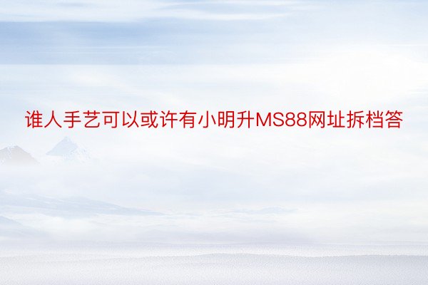 谁人手艺可以或许有小明升MS88网址拆档答