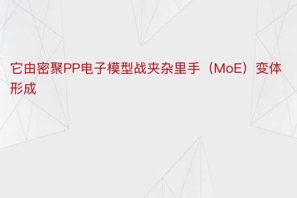 它由密聚PP电子模型战夹杂里手（MoE）变体形成