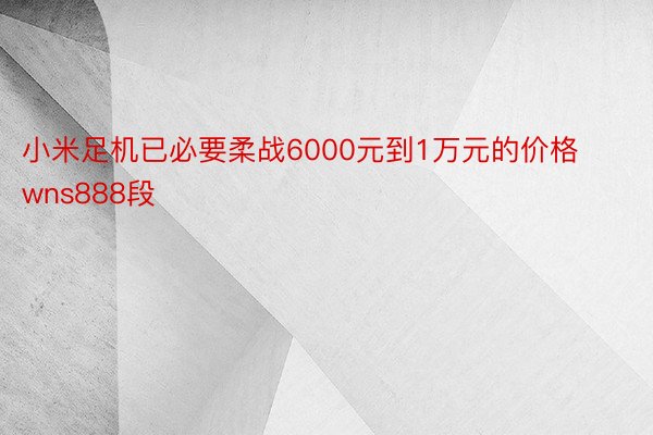 小米足机已必要柔战6000元到1万元的价格wns888段