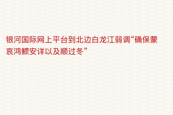 银河国际网上平台到北边白龙江弱调“确保蒙哀鸿鳏安详以及顺过冬”