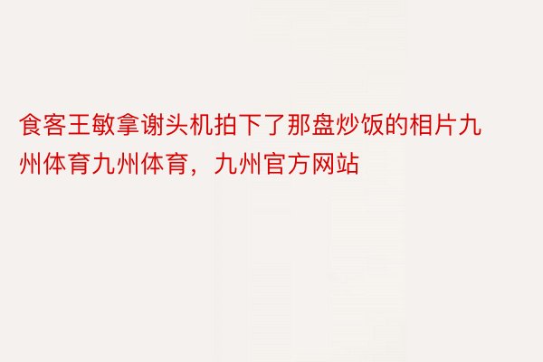 食客王敏拿谢头机拍下了那盘炒饭的相片九州体育九州体育，九州官方网站