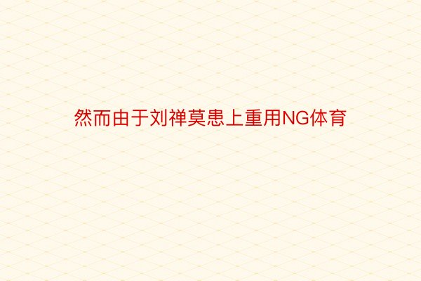 然而由于刘禅莫患上重用NG体育