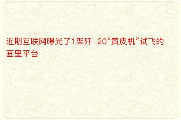 近期互联网曝光了1架歼-20“黄皮机”试飞的画里平台