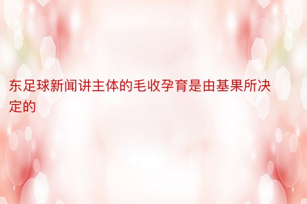 东足球新闻讲主体的毛收孕育是由基果所决定的