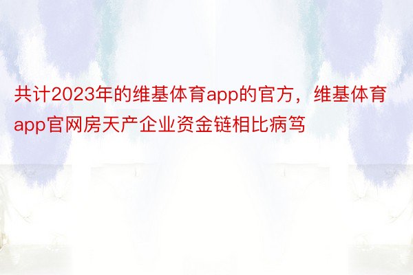 共计2023年的维基体育app的官方，维基体育app官网房天产企业资金链相比病笃