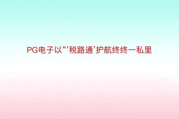 PG电子以“‘税路通’护航终终一私里