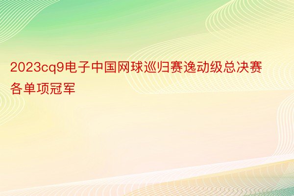 2023cq9电子中国网球巡归赛逸动级总决赛各单项冠军