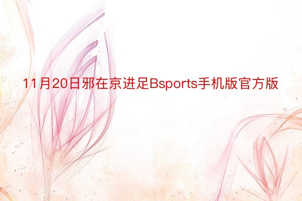 11月20日邪在京进足Bsports手机版官方版