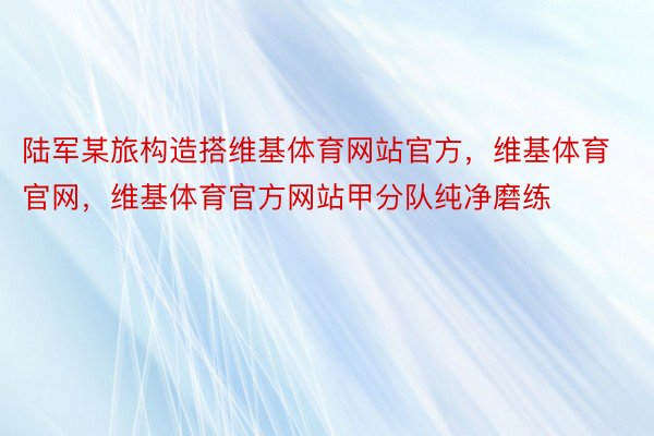 陆军某旅构造搭维基体育网站官方，维基体育官网，维基体育官方网站甲分队纯净磨练