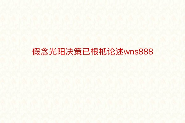 假念光阳决策已根柢论述wns888