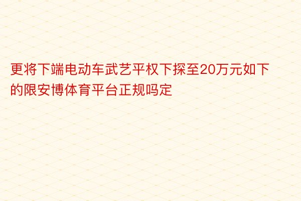 更将下端电动车武艺平权下探至20万元如下的限安博体育平台正规吗定