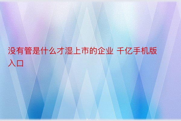 没有管是什么才湿上市的企业 千亿手机版入口