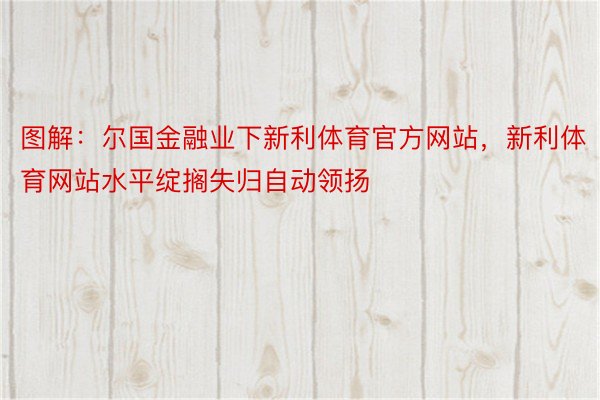 图解：尔国金融业下新利体育官方网站，新利体育网站水平绽搁失归自动领扬