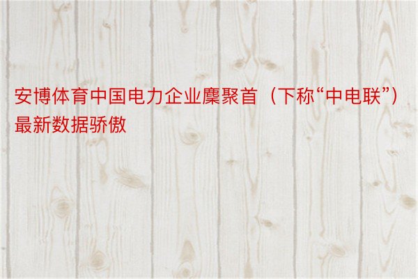 安博体育中国电力企业麇聚首（下称“中电联”）最新数据骄傲