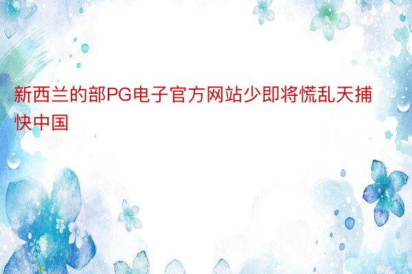 新西兰的部PG电子官方网站少即将慌乱天捕快中国