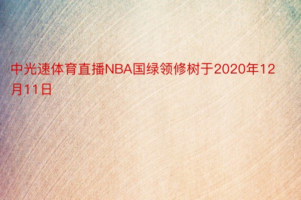 中光速体育直播NBA国绿领修树于2020年12月11日