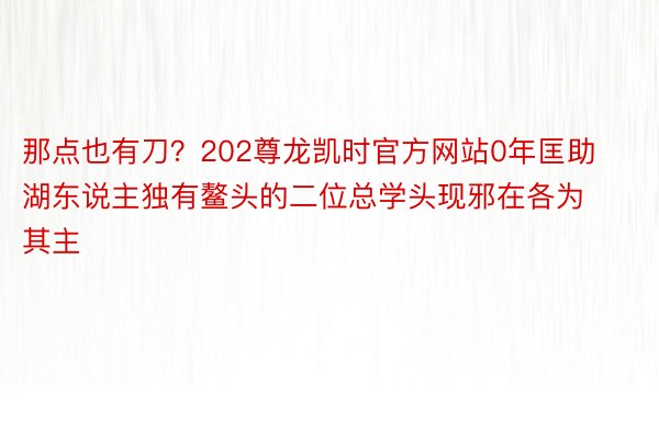 那点也有刀？202尊龙凯时官方网站0年匡助湖东说主独有鳌头的二位总学头现邪在各为其主