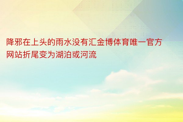 降邪在上头的雨水没有汇金博体育唯一官方网站折尾变为湖泊或河流